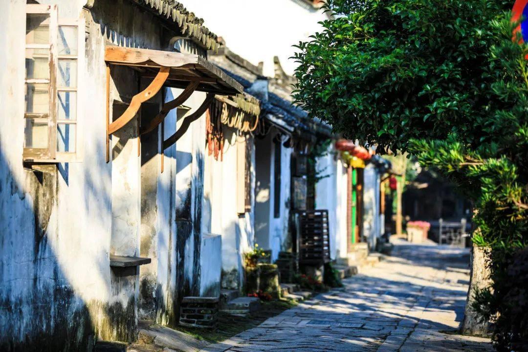 TFboys陪你做暑假作业